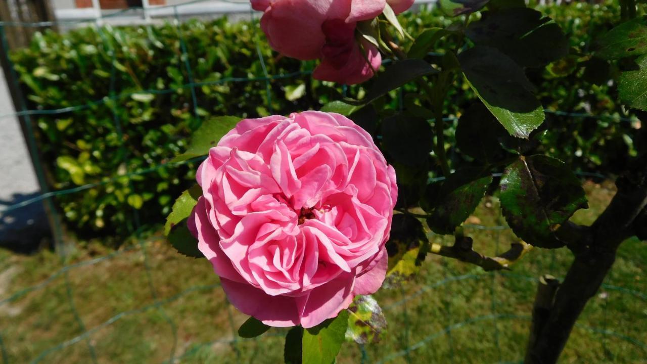 Bed & Breakfast La Cle Des Sens Le Faubourg